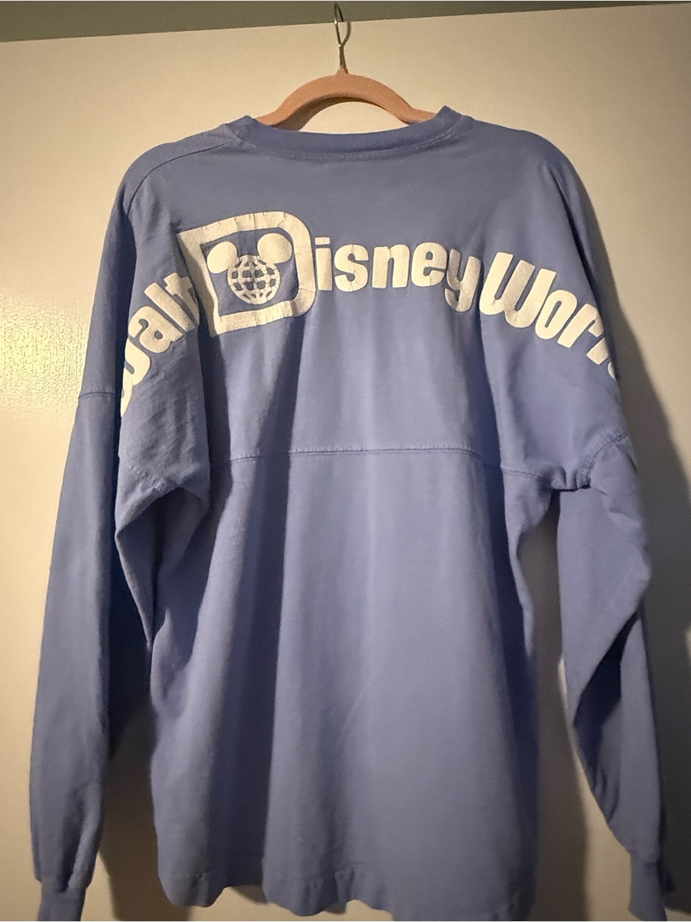 Walt Disney World retro/Vault Spirit Jersey